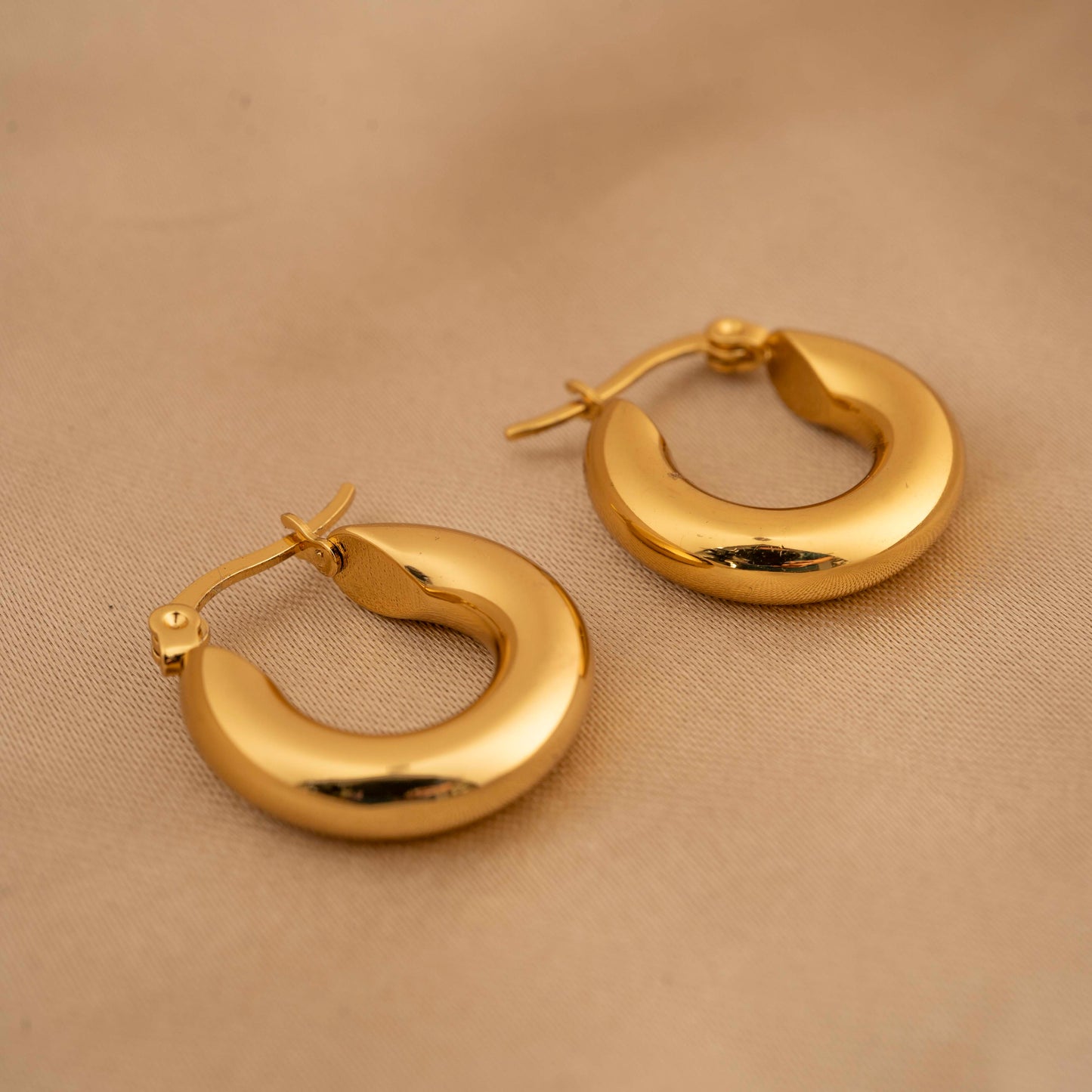 Truetarnish Round Gold Earrings Antitarnish | Waterproof